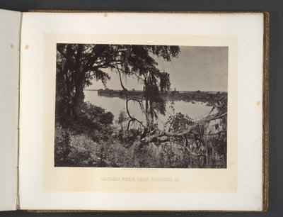 Río Savannah, cerca de Savannah, Georgia de George N. Barnard