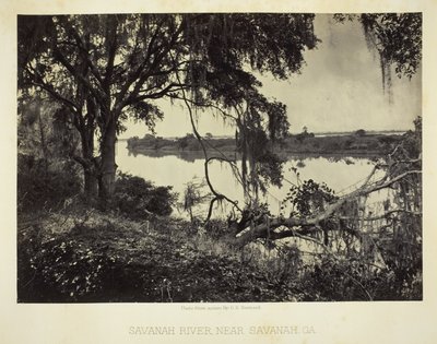 Río Savannah, cerca de Savannah, GA de George N. Barnard