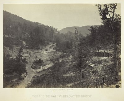 Valle de Whiteside bajo el puente, 1864 de George N. Barnard