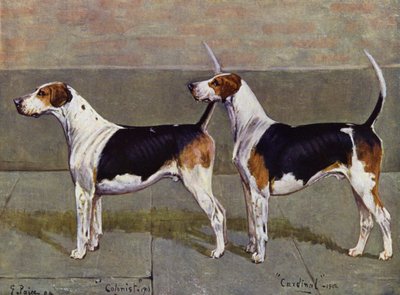 Los sabuesos de Puckeridge, Colonist y Cardinal de George Paice