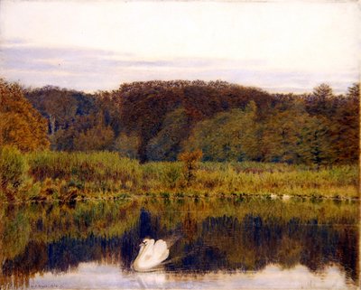 Abinger Mill Pond, Surrey - Mañana a finales de otoño de George Price Boyce