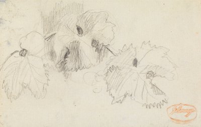 Estudio de las hojas 1 de George Romney