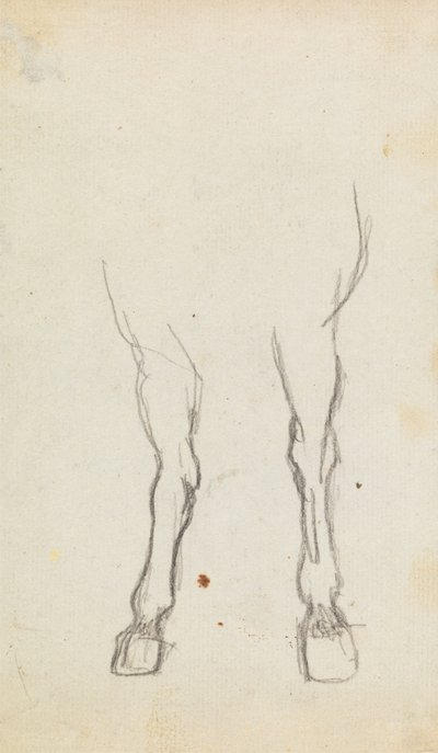 Estudio de las patas delanteras de un caballo de George Romney