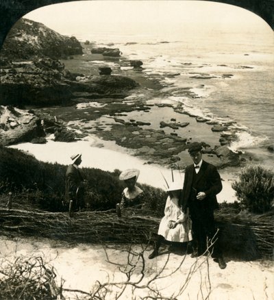 Marea baja en la playa trasera, Sorrento, Victoria, Australia, c1909 de George Rose