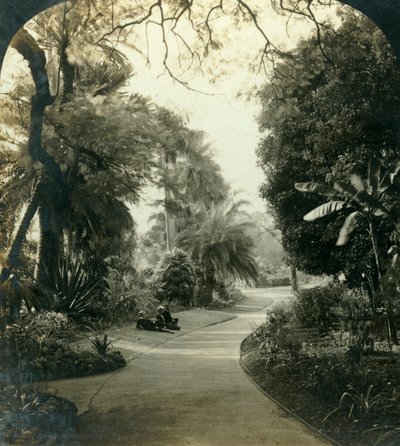 Camino en el Queens Park, Brisbane, Australia, c. 1909 de George Rose