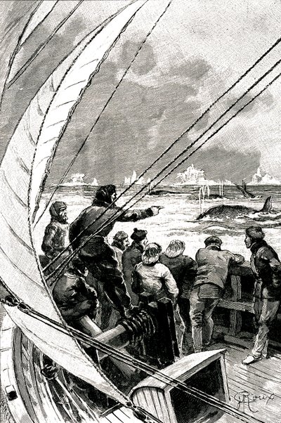 En el mar hacia el Polo: la tripulación de un barco (velero) ve un grupo de ballenas. Ilustración de la novela de Julio Verne "La Esfinge de los Hielos" de George Roux
