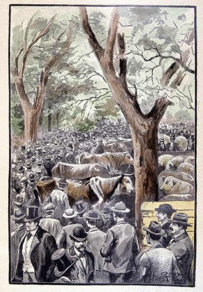 La multitud ya abarrotaba el lugar de la competencia (página 259) en "Testamento de un excéntrico" por Jules Verne de George Roux