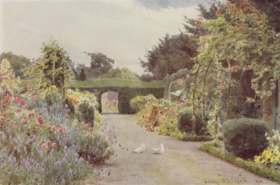 Rosas Chinas y Lavanda, Palmerstown de George Samuel Elgood