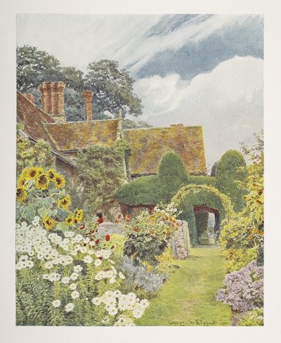 Cleeve Prior, Sunflowers, ilustración en 