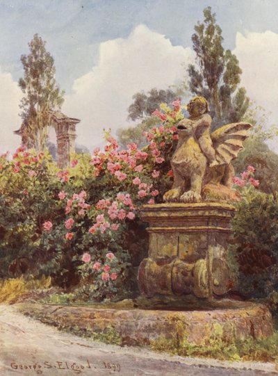 Jardines de Italia: Rosas de China, Villa Imperiali (litografía en color) de George Samuel Elgood