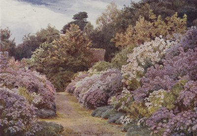 Margaritas de San Miguel, Munstead Wood de George Samuel Elgood