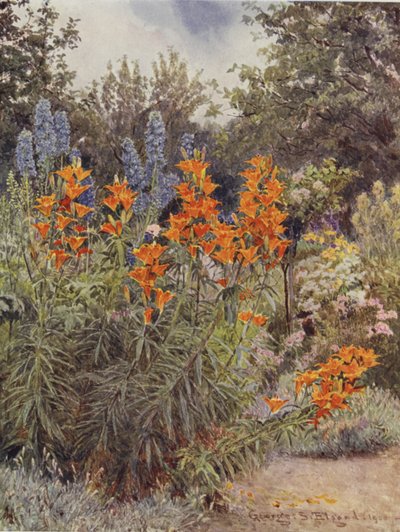Lirios naranjas y espuela de caballero de George Samuel Elgood