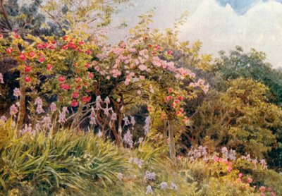  de George Samuel Elgood