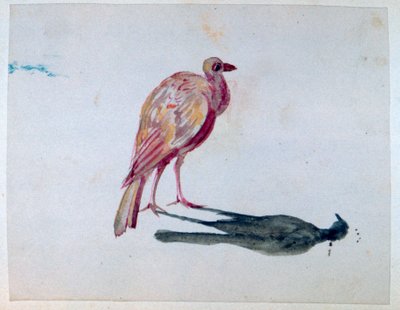 Pájaro, 1820-1876 de George Sand