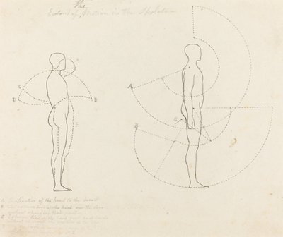 Extensión del movimiento mostrada en dos figuras de George Scharf after John Flaxman