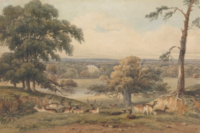 Una vista lejana de Ampthill Park de George Shepherd