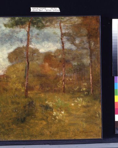 Orange Road, Tarpon Springs (óleo sobre lienzo) de George Snr. Inness