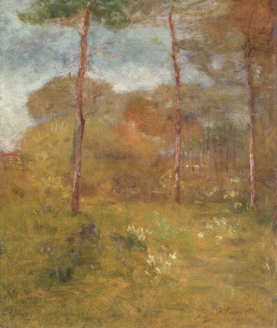 Orange Road, Tarpon Springs, c.1893 (óleo sobre lienzo) de George Snr. Inness
