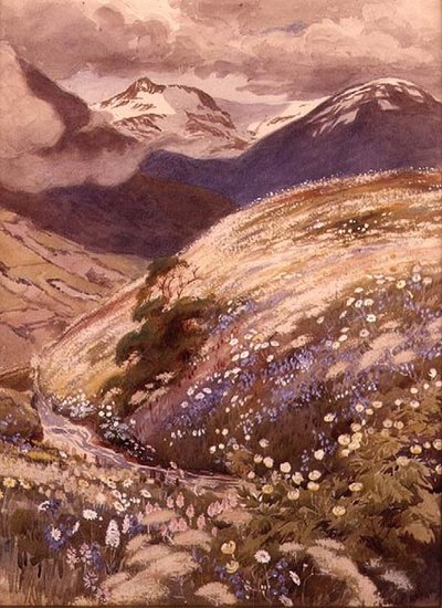 Flores alpinas de George Soper