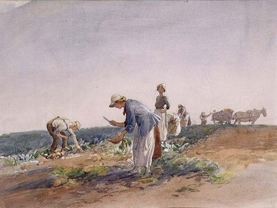 La cosecha de nabos de George Soper
