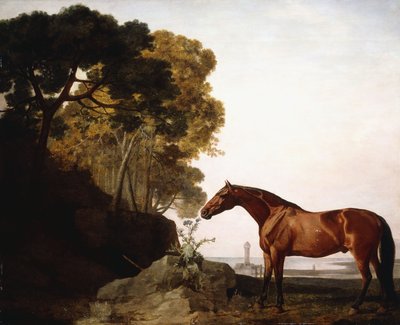 Un árabe bayo en un paisaje costero, 1779 de George Stubbs