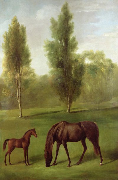 Una yegua castaña y su potro en un paisaje boscoso, c.1761-63 de George Stubbs