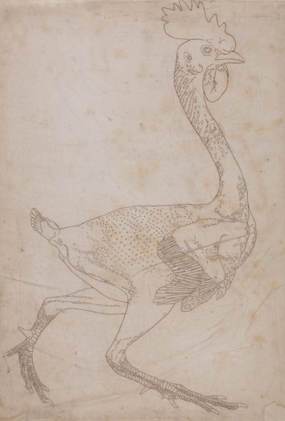 Exposición anatómica comparativa de la estructura del cuerpo humano con la de un tigre y un ave común: Cuerpo de ave, vista lateral (probablemente preparado para transferirlo a la plancha para grabar la figura clave de la tabla X) de George Stubbs