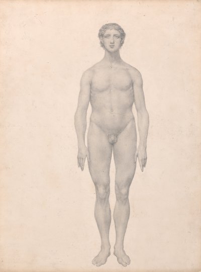 Exposición anatómica comparativa de la estructura del cuerpo humano con la de un tigre y un ave común:  Figura humana, vista anterior, sin diseccionar (estudio terminado para el cuadro VI) de George Stubbs