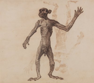 Exposición anatómica comparativa de la estructura del cuerpo humano con la del tigre y la del ave común:  Mono de pie, vista anterior de George Stubbs