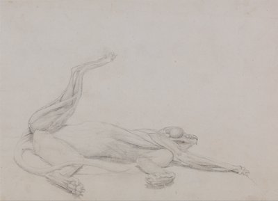 Exposición anatómica comparativa de la estructura del cuerpo humano con la de un tigre y un ave común:  Cuerpo de tigre, yacente, visto ventralmente de George Stubbs