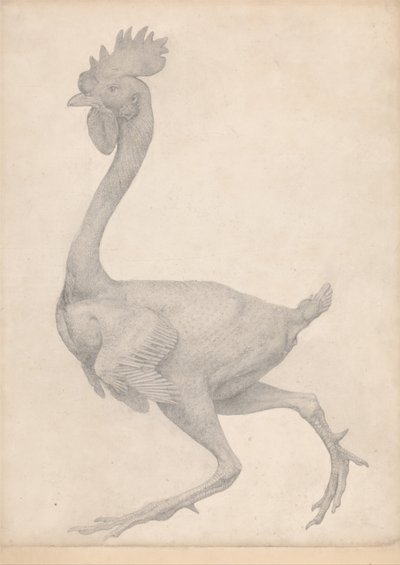Exposición anatómica comparativa de la estructura del cuerpo humano con la del tigre y la del ave común: Aves de corral, vista lateral sin la mayoría de las plumas (estudio terminado para la tabla X) de George Stubbs