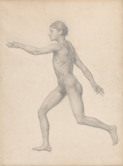 Exposición Anatómica Comparativa de la Estructura del Cuerpo Humano con la de un Tigre y un Ave Común: Figura Humana, Vista Lateral, Sin Disecar (Estudio Finalizado para la Tabla VIII) de George Stubbs