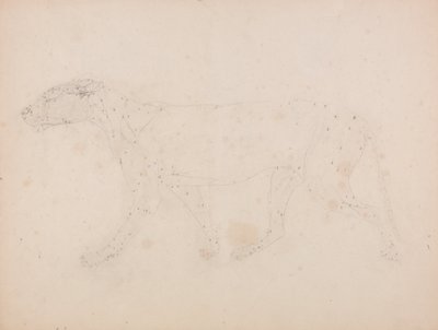 Exposición anatómica comparativa de la estructura del cuerpo humano con la del tigre y la del ave común: Cuerpo de Tigre, Vista Lateral (Estudio de los músculos para el ratio de la Tabla IX) de George Stubbs