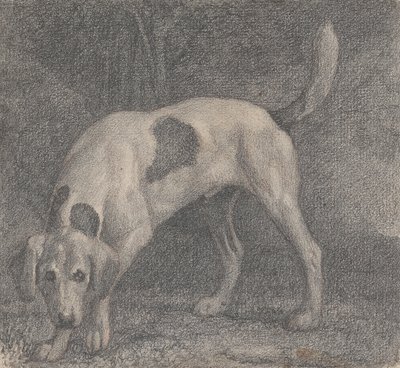 Un Foxhound en la mira de George Stubbs