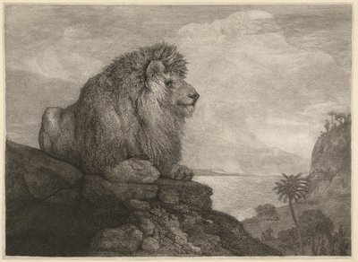 Un León (Un León Descansando en una Roca) grabado por el artista de George Stubbs