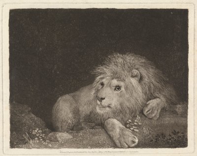 Un León [Un León yacente] de George Stubbs