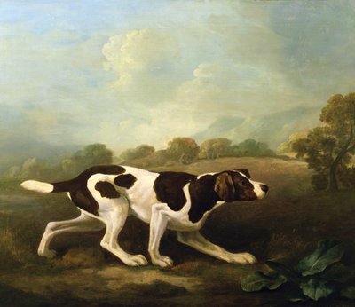 Un perro pointer de George Stubbs
