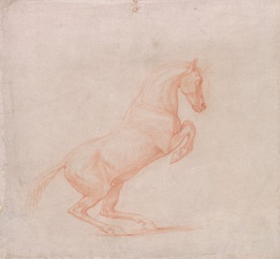 Un caballo rampante, mirando a la derecha de George Stubbs