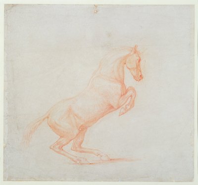 Un Caballo Saltarín, mirando a la derecha, 1790 de George Stubbs