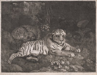 Un tigre y un leopardo dormido de George Stubbs