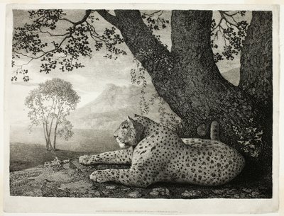 Un tigre (Un leopardo recostado junto a un árbol) de George Stubbs
