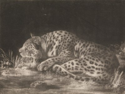 Un Tyger (Leopardo Durmiente) de George Stubbs