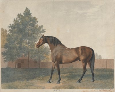 "Yunque" de George Stubbs