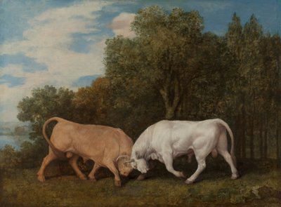 Toros de lidia de George Stubbs
