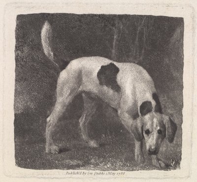 Perro (Un Sabueso en el Rastro) grabado por el artista, pub. 1788 de George Stubbs