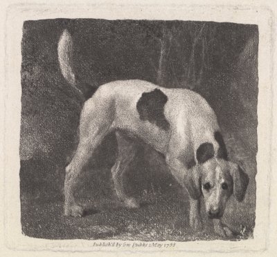 Perro [Un Foxhound en el Olfato] de George Stubbs