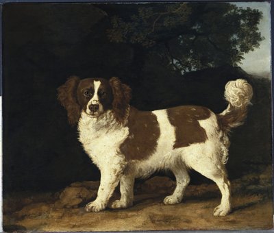 Fanny, el spaniel favorito de la Sra. Musters, de pie en un paisaje boscoso, 1777 de George Stubbs