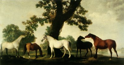 Cinco yeguas en la granja de cría del Duque de Cumberland en Windsor Great Park, 1765, 1944 de George Stubbs