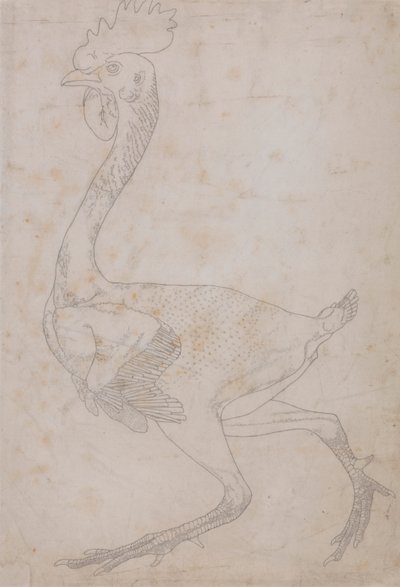 Cuerpo de ave, vista lateral (probablemente preparado para transferirlo a la plancha para grabar la figura clave de la Tabla X) de George Stubbs
