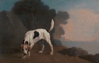 Foxhound, Foxhound en el rastro de George Stubbs